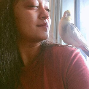 Fundraising Page: Rhythm Vekariya